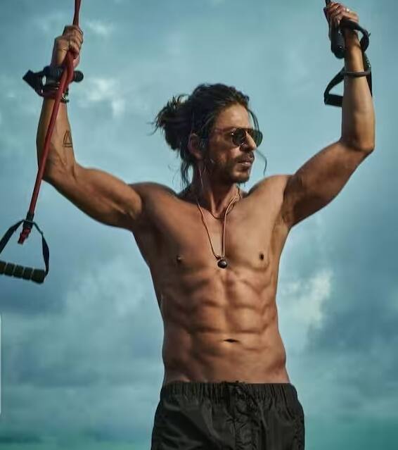 शाहरुख खान की 'पठान' इस साल की जनवरी में रिलीज हुई थी. सिनेमाघरों में दस्तक देते ही ये मूवी बॉक्स ऑफिस पर छा गई थी. इसने भारत में 14 दिन में 433.45 करोड़ रुपये का बिजनेस किया था.