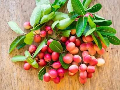 Health: ਕਰੈਨਬੇਰੀ ਇੱਕ ਅਜਿਹਾ ਕੀਮਤੀ ਫਲ ਹੈ ਜੋ ਸਰੀਰ ਲਈ ਅੰਮ੍ਰਿਤ ਵਰਗਾ ਹੈ। ਇਸ ਫਲ ਚ ਕਈ ਗੁਣ ਹੁੰਦੇ ਹਨ ਜੋ ਸਰੀਰ ਨੂੰ ਸਿਹਤਮੰਦ ਰੱਖਣ ਚ ਮਦਦ ਕਰਦੇ ਹਨ।