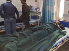 उत्तराखंड में नहीं थम रहे बाघ के हमले, अब बाइक सवार दो युवकों पर किया अटैक