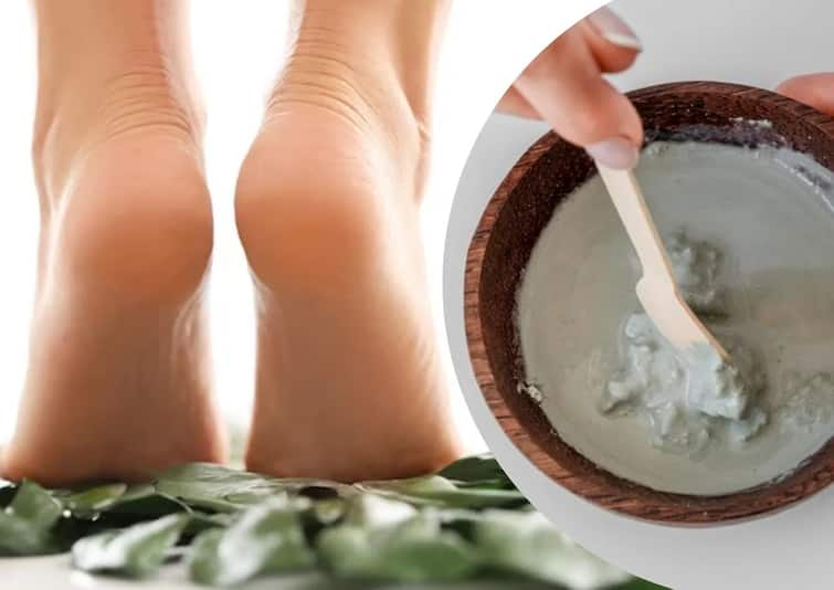 Beauty Tips best homemade foot scrub to remove dead skin in winter marathi news Beauty Tips : पायांच्या तळव्यावर साचलेली डेड स्किन स्वच्छ ​​करायचीय? 'हे' घरगुती स्क्रब तुमच्यासाठीच...