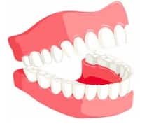 क्या दांत से दिमाग का सच में कनेक्शन होता है? जानिए इसके पीछे का विज्ञान