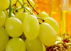 New Year 2024: ਇੱਥੇ ਦੇ ਲੋਕ ਨਵੇਂ ਸਾਲ ‘ਤੇ ਲਿਆਉਂਦੇ ਹਨ 12 ਅੰਗੂਰ, ਜਾਣੋ ਫਿਰ ਇਸ ਦਾ ਕੀ ਕਰਦੇ