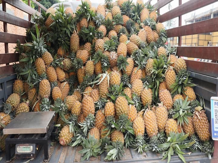 Thanjavur news Pineapple fruits sold wildly at Rs.50 per kg Direct sales by Kerala traders TNN கேரளா வியாபாரிகள் நேரடி விற்பனை... ஒரு கிலோ ரூ.50க்கு அமோகமாக விற்ற அன்னாசி பழங்கள்