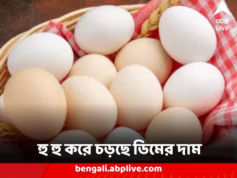 Egg Price Hike in Kolkata amid supply chain hit creating problem for people Egg Price Hike : ৮ টাকা ডিমের পিস ! জোগানে ঘাটতিতে হু হু করে চড়ছে দাম