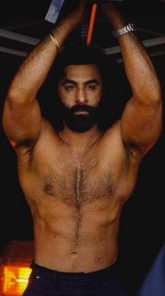 Animal Box Office Collection Day 15 Worldwide: 'एनिमल' पर हुई नोटों की बारिश, 800 करोड़ क्लब से इंचभर दूर है रणबीर कपूर की फिल्म