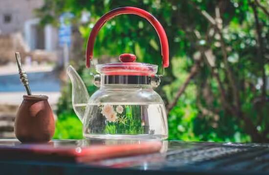 ਚਾਹ ਦੇ ਬੀਜਾਂ ਨੂੰ ਉਗਾਉਣ ਲਈ ਲਗਭਗ 2-3 ਹਫ਼ਤੇ ਦਾ ਸਮਾਂ ਲੱਗਦਾ ਹੈ। ਬੀਜਾਂ ਨੂੰ ਭਿਓਣ ਅਤੇ ਉਗਾਉਣ ਤੋਂ ਬਾਅਦ, ਉਨ੍ਹਾਂ ਨੂੰ ਮਿੱਟੀ ਵਿੱਚ ਬੀਜਣਾ ਚਾਹੀਦਾ ਹੈ। ਮਿੱਟੀ ਨੂੰ ਚੰਗੀ ਤਰ੍ਹਾਂ ਨਮੀ ਰੱਖੋ ਅਤੇ ਪੌਦਿਆਂ ਨੂੰ ਲੋੜੀਂਦੀ ਧੁੱਪ ਪ੍ਰਦਾਨ ਕਰੋ। ਚਾਹ ਦੇ ਪੌਦੇ ਲਗਭਗ 3 ਸਾਲਾਂ ਬਾਅਦ ਪੱਤੇ ਤੋੜਨ ਲਈ ਤਿਆਰ ਹੋ ਜਾਂਦੇ ਹਨ।