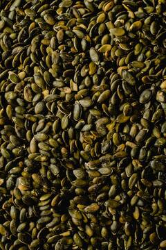 Pumpkin Seeds Health Benefits : भोपळ्याच्या बिया खाण्याचे अनेक फायदे!