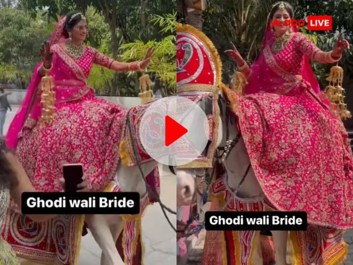 Bride dance on mare in a wedding video viral social media users reacted watch wedding video Viral Video: शादी में दिखा दुल्हन का जलवा, घोड़ी पर चढ़कर मारी ऐसी एंट्री, देखने वाले बोले- 'अब तो जमाना ही बदल गया...'