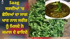 Chane Ka Saag: ਸਰਦੀਆਂ ਵਿੱਚ ਛੋਲਿਆਂ ਦਾ ਸਾਗ ਖਾਣ ਨਾਲ ਸਰੀਰ ਨੂੰ ਮਿਲਦੇ ਨੇ ਕਮਾਲ ਦੇ ਫਾਇਦੇ
