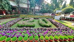 Flower Festival : हिस्लॉप कॉलेज मध्ये बहरला फुलोत्सव; यंदाचे 20 वे वर्ष