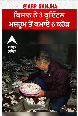 Farming | ਕਿਸਾਨ ਨੇ 3 ਕੁਇੰਟਲ ਮਸ਼ਰੂਮ ਤੋਂ ਕਮਾਏ 6 ਕਰੋੜ