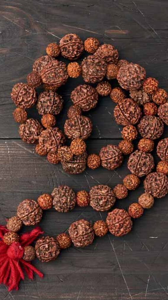 રૂદ્રાક્ષ માળા પહેરવાથી શું ફાયદો થાય છે, જાણો