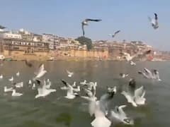Varanasi News: सर्दियों में बढ़ी बनारस के घाटों की खूबसूरती, बड़ी संख्या में पहुंच रहे हैं पर्यटक, देखें- तस्वीरें