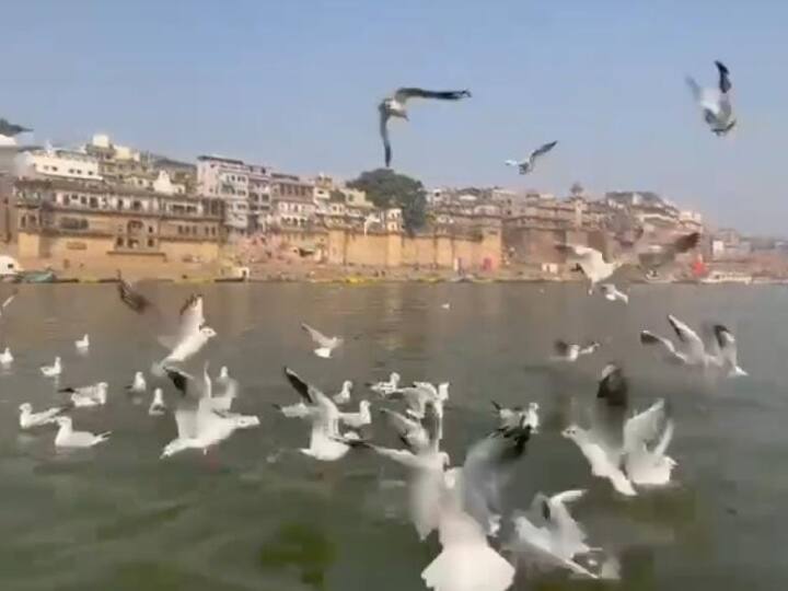 वाराणसी में पर्यटकों की चहल-पहल और आवागमन की भी बात कर ले तो नवंबर से फ़रवरी महीने तक बनारस के घाट पर देश और विदेश के पर्यटकों की संख्या में अधिक बढ़ोतरी देखी जाती है.