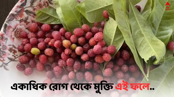 Kafal  Fruit Benefits: হিমাচলের জঙ্গলে অনেক প্রাকৃতিক ফল পাওয়া যায়। যা ঔষধি গুণও প্রদান করে। তবে এর মধ্যে অন্যতম কাফল।