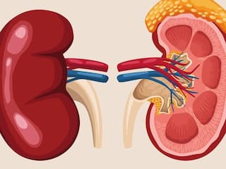 यूरिन में बदबू और बदला हुआ रंग किडनी की बीमारी के हैं शुरुआती संकेत, जानें लक्षण