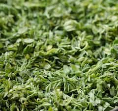 Saag: ਸਰਦੀਆਂ 'ਚ ਜ਼ਰੂਰ ਖਾਓ ਛੋਲਿਆਂ ਦਾ ਸਾਗ, ਇਹ ਬਿਮਾਰੀਆਂ ਕਦੇ ਵੀ ਤੁਹਾਡੇ ਨੇੜੇ ਨਹੀਂ ਆਉਣਗੀਆਂ