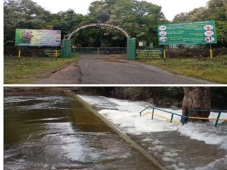 Nellai Rain: Ban on going to Kalakadu thalaiyanai & Nambikovil..! Action in forest department due to continuous rain Thirunelveli TN Rain TNN Nellai Rain: களக்காடு தலையணை & நம்பிகோவிலுக்கு செல்ல தடை.. தொடர் மழையால் வனத்துறை அறிக்கை..