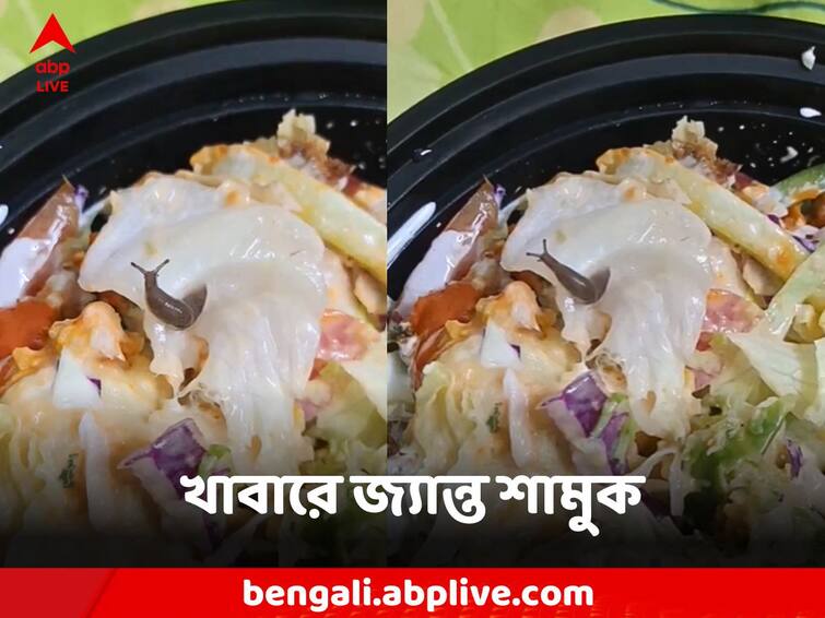 Viral News Live snails in food The buyer was surprised to open the online order Viral Video: খাবারের মধ্যে জ্যান্ত শামুক! অনলাইন অর্ডার খুলতেই তাজ্জব বনলেন ক্রেতা!