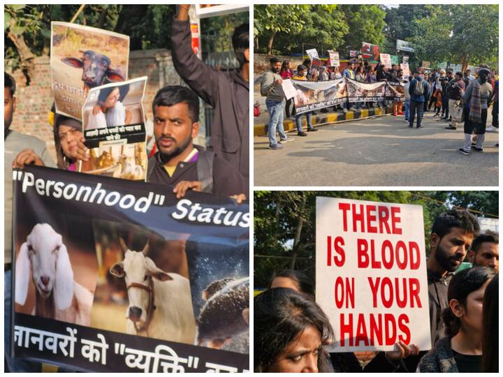 Hundreds of activists from across the country gathered at Delhi's Jantar Mantar to advocate for 'personhood status' of animals.