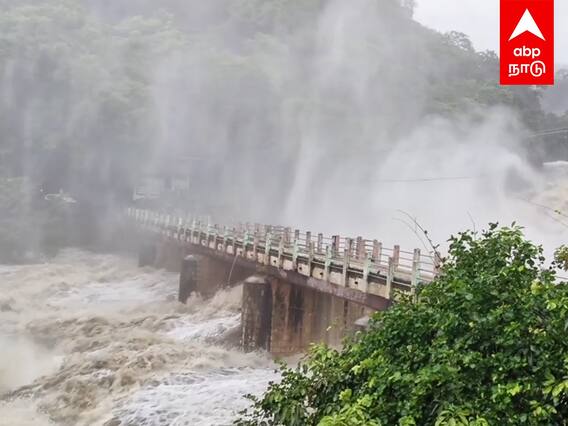 Tirunelveli Heavy Rain : சீறிப்பாயும் வெள்ளம் மிரட்டும் மணிமுத்தாறு தொடர்கனமழை எதிரொலி