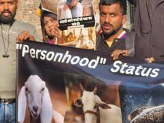 Activists Gather At Delhi's Jantar Mantar To Demand 'Personhood Status' For Animals — IN PICS