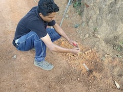 बीजापुर में सुरक्षाबलों ने नक्सलियों के मंसूबों को किया नाकाम, 21 आईईडी बम किए निष्क्रिय