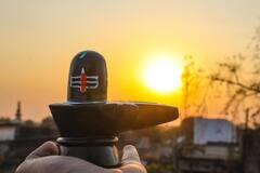 Shiva: শিবের রুদ্রাভিষেকে এই জিনিস দিলেই ঘোর অমঙ্গল, ভাগ্য বিপর্যয় নেমে আসতে পারে