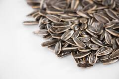 PHOTO : सूर्यफुलाच्या बियांचे आश्चर्यकारक फायदे; आरोग्यासाठी गुणकारी