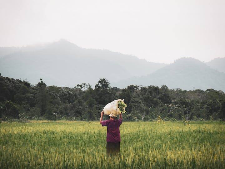जो किसान 16 वीं किस्त का लाभ पाना चाहते हैं वह इस बात का खास ध्यान रखें कि बिना डाक्यूमेंट वेरिफिकेशन और ई-केवाईसी हुए उन्हें लाभ नहीं दिया जाएगा.