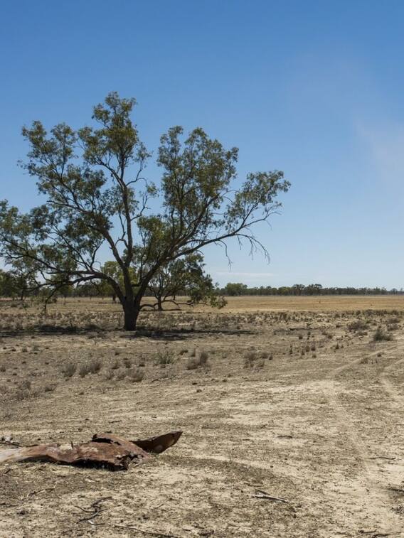 बंजर जमीन पर किसान करें ये तीन काम