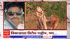 Kolhapur Ratnagiri Highway :विकासाची झेप, वृक्षांवर कुऱ्हाड;विकासाला विरोध नाहीच,पण...Special Report