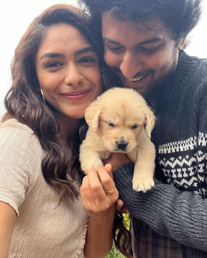 సీతారామం సినిమాతో తెలుగులో భారీ హిట్​ అందుకున్న ఈ భామ.. ఇప్పుడు నానితో కలిసి ఫ్యామిలీ హిట్​ని అందుకుంది. హిందీలో కంటే.. తెలుగులోనే ఈ భామ ఎక్కువమంది అభిమానులను సంపాదించుకుంది.