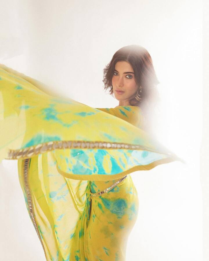 શનાયા કપૂરે કેમેરાની સામે સાડીમાં શાનદાર પોઝ આપ્યા છે.