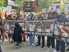 Activists Gather At Delhi's Jantar Mantar To Demand 'Personhood Status' For Animals — IN PICS