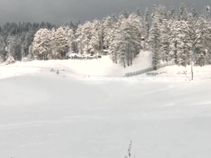 Branches and leaves of trees were also covered with snow on Sunday after the fresh snowfall in the the region. (Image Source: X/@ANI)
