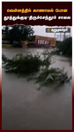 Thoothukudi Floods - வெள்ளத்தில் மூழ்கிய தூத்துக்குடி-திருச்செந்தூர் பிரதான சாலை