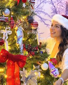 Shama Sikander All Set For Christmas 2023: Shares Photo Dump On Gram
