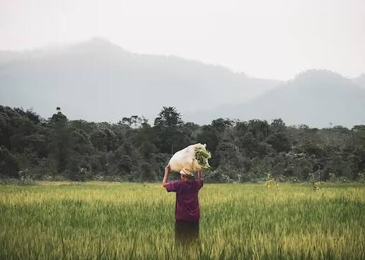 PM Kisan Samman Nidhi Yojana: કેન્દ્ર સરકાર દ્વારા ખેડૂતો માટે પ્રધાનમંત્રી કિસાન સન્માન નિધિ યોજના ચલાવવામાં આવી રહી છે. જે અંતર્ગત સરકાર ખેડૂતોને  આર્થિક મદદ કરી રહી છે. આ યોજના હેઠળ સરકાર દ્વારા ખેડૂતોને દર વર્ષે 6 હજાર રૂપિયાની સહાય આપવામાં આવે છે. યોજના હેઠળ અત્યાર સુધીમાં 15 હપ્તા આપવામાં આવ્યા છે. હવે સરકાર 16મો હપ્તો ટ્રાન્સફર કરશે.