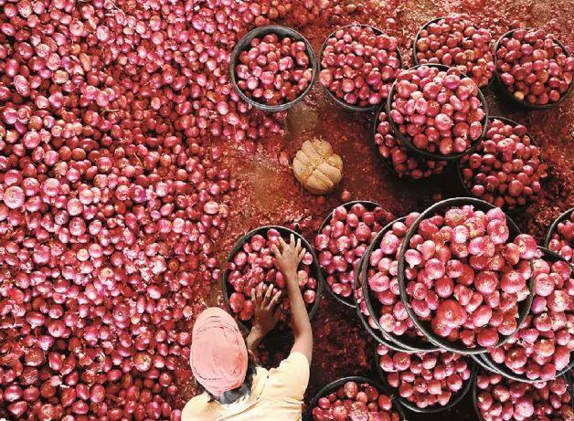 लासलगाव बाजार समितात सध्या कांद्याला सरासरी 2100 रुपयांचा दर मिळत आहे. तर कमीत कमी 800 तर जास्तीत जास्त 2304 रुपयांचा भाव मिळत आहे.