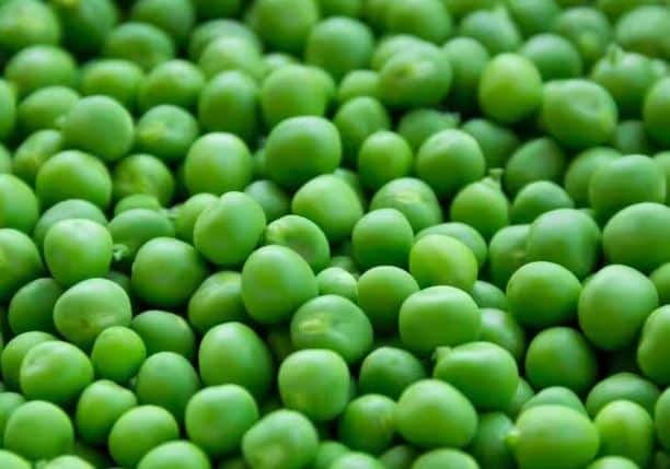 वाटाण्याच्या दरातही वाढ धाली आहे. प्रतिकिलो वाटाण्यासाठी 60 ते 70 रुपये मोजावे लागत आहेत.