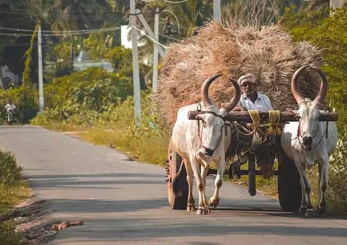 PM Kisan Yojana: પીએમ કિસાન સન્માન નિધિના 16મા હપ્તાનો લાભ મેળવવા માટે ખેડૂત ભાઈઓએ અહીં જણાવેલા મહત્વપૂર્ણ કાર્યો ઝડપથી પૂર્ણ કરવા જોઈએ.