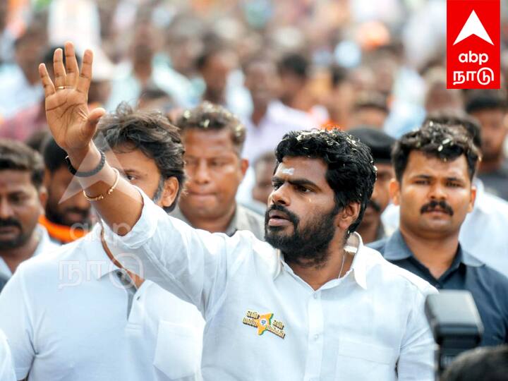 Annamalai says Only after the arrival of Minister Mastan there has been an increase in the number of victims of smuggling - TNN அமைச்சர் மஸ்தான் வந்த பிறகு தான் கள்ளச்சாராய உயிரிழப்புகள் அதிகரித்துள்ளது - அண்ணாமலை