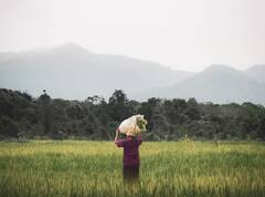 PM Kisan Yojana: ਇਨ੍ਹਾਂ ਕਿਸਾਨਾਂ ਦੇ ਖਾਤਿਆਂ ‘ਚ ਨਹੀਂ ਆਵੇਗੀ ਪ੍ਰਧਾਨ ਮੰਤਰੀ ਕਿਸਾਨ ਯੋਜਨਾ ਦੀ 16ਵੀਂ ਕਿਸ਼ਤ, ਜਾਣੋ ਕਾਰਨ