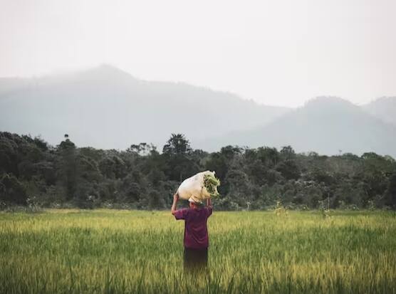 ਜਿਹੜੇ ਕਿਸਾਨ 16ਵੀਂ ਕਿਸ਼ਤ ਦਾ ਲਾਭ ਲੈਣਾ ਚਾਹੁੰਦੇ ਹਨ, ਉਹ ਇਸ ਗੱਲ ਦਾ ਧਿਆਨ ਰੱਖਣ ਕਿ ਬਿਨਾਂ ਡਾਕਿਊਮੈਂਟ ਵੈਰੀਫਿਕੇਸ਼ਨ ਅਤੇ ਈ-ਕੇਵਾਈਸੀ ਹੋਏ ਲਾਭ ਨਹੀਂ ਮਿਲੇਗਾ।