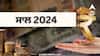 New Year 2024 Upay: ਨਵੇਂ ਸਾਲ ‘ਚ ਹੋਵੇਗੀ ਮਾਤਾ ਲਕਸ਼ਮੀ ਦੀ ਕਿਰਪਾ, ਬਸ ਕਰ ਲਓ ਇਹ ਕੰਮ