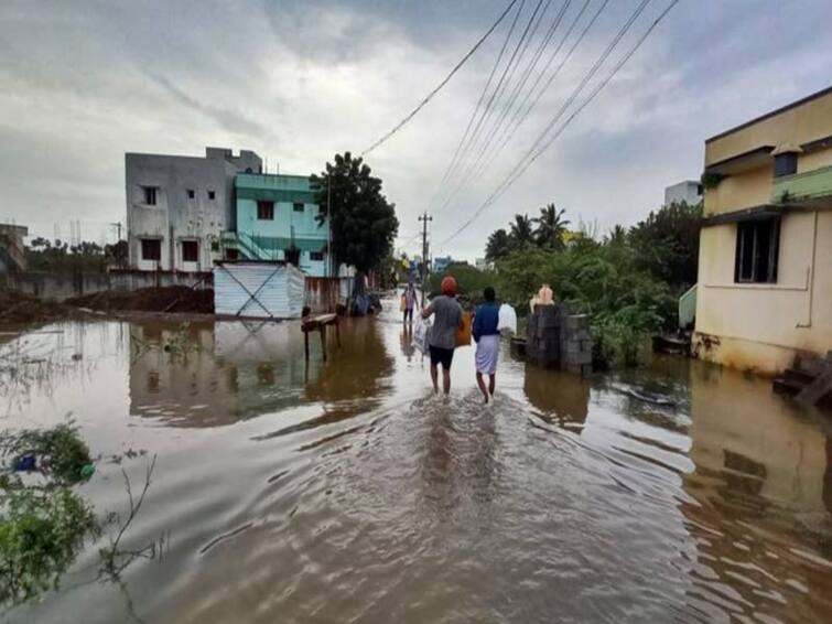 TN Rain tirunelveli tuticorin tenkasi heavy rain kayapattinam record 96 point 4 cm rainfall high TN Rain: கதிகலங்கிய தூத்துக்குடி மாவட்டம்: காயல்பட்டினத்தில் 94 செ.மீ மழை - மற்ற பகுதிகளின் நிலை என்ன?