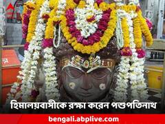 Pashupati Nath Temple: পশুদের পালন কর্তা তিনি, রক্ষা করেন হিমালয়বাসীকেও! পশুপতিনাথে বিশেষ পুজো