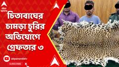 চিতাবাঘের চামড়া চুরির অভিযোগে বন দফতরের কর্মীদের হাতে গ্রেফতার ৩