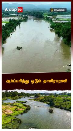 Nellai Heavy rain - ஆர்ப்பரித்து ஓடும் தாமிரபரணி